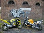 Dodał: lysyozw - 09.11.2011 -  Moje 954 i 929 kumpla