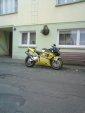 Dodał: TEDI 954 - 12.11.2008 - 