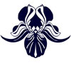 Awatar użytkownika