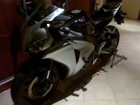 20110216067.jpg