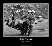 beda warzywa.jpg