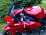 20110810328.jpg