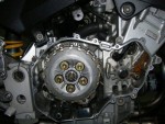 DSCN6145.jpg