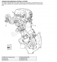 suzuki pair system 1.JPG