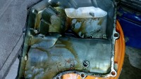 IMG_20160424_152057.jpg