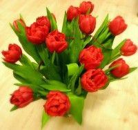 tulipany.jpg