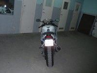 cerber 018.jpg