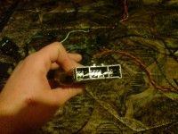 DSC01010.JPG