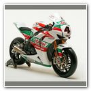 Castrol Honda Fireblade CBR 1000RR 2011