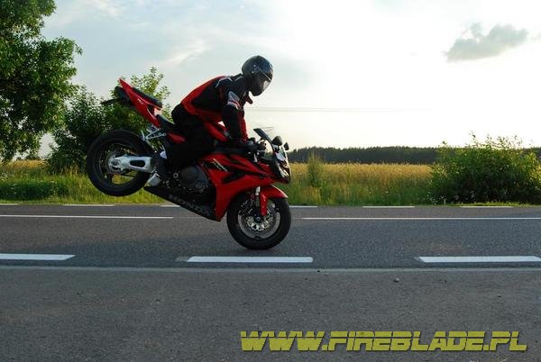 Honda FireBlade